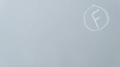 enterprise sector performance review