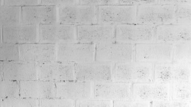 industry forecast overview summary